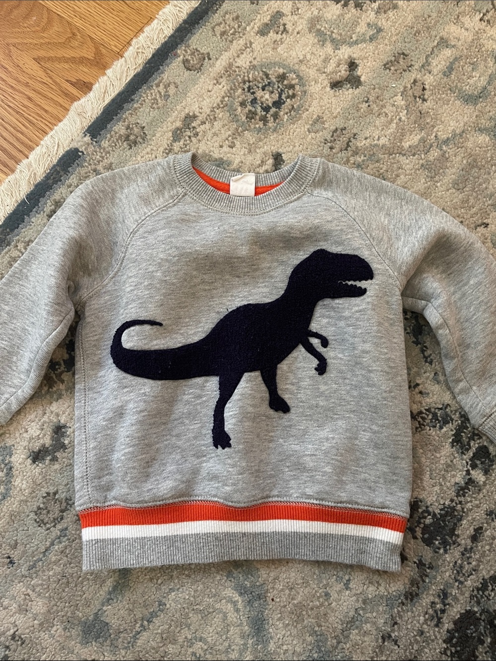 Baby Gap Kids Grey Dino Sweatshirt with Navy and Orange/White stripe accents
